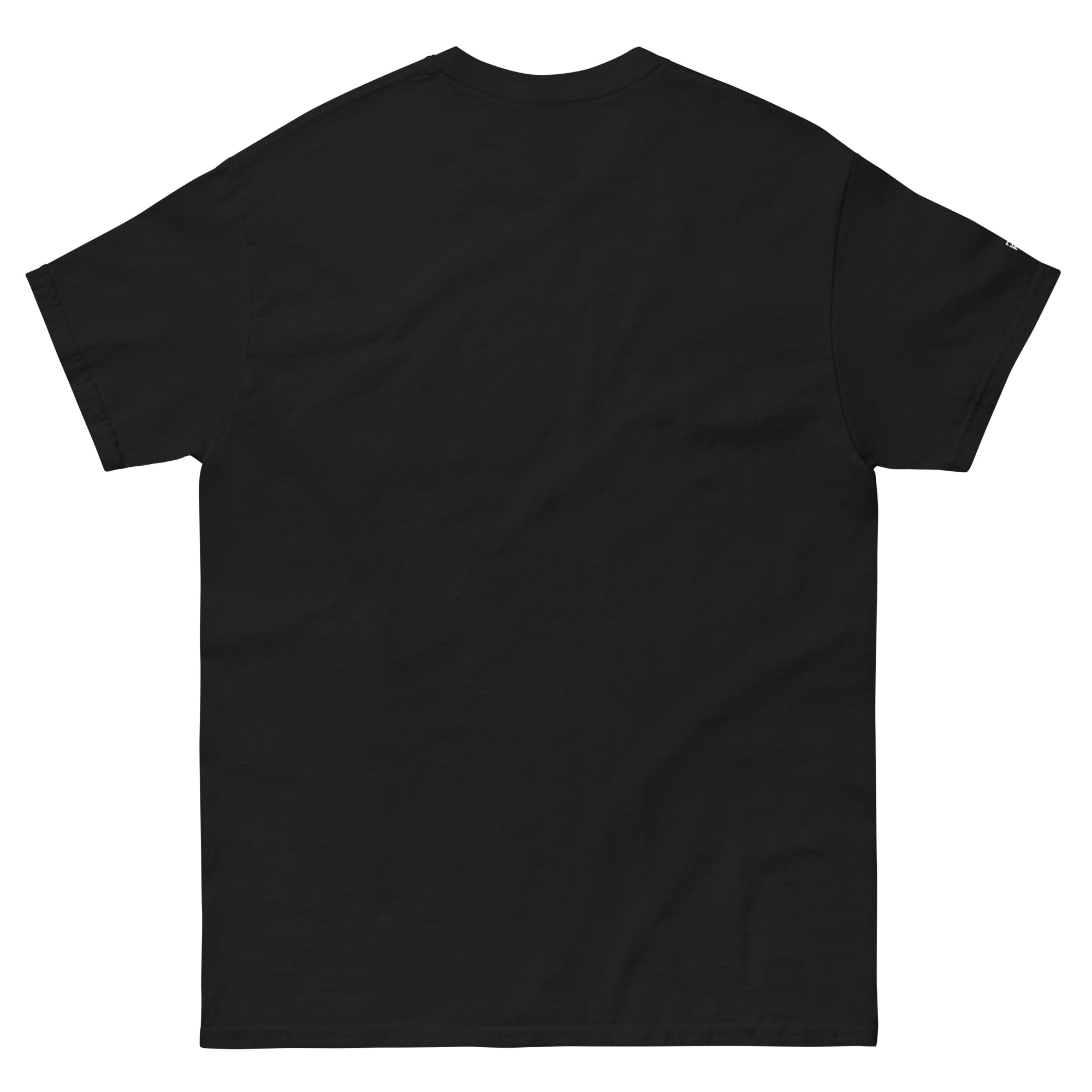unisex-classic-tee-black-back-686571ac5ff8f.jpg